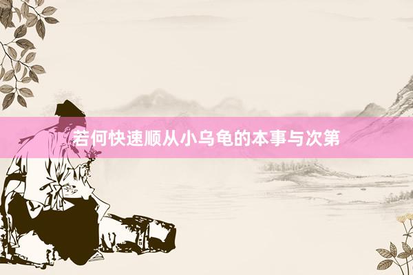 若何快速顺从小乌龟的本事与次第